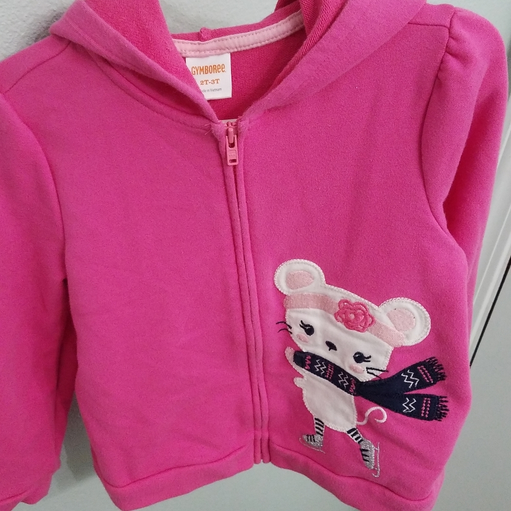 Gymboree pink fair aisle hoodie